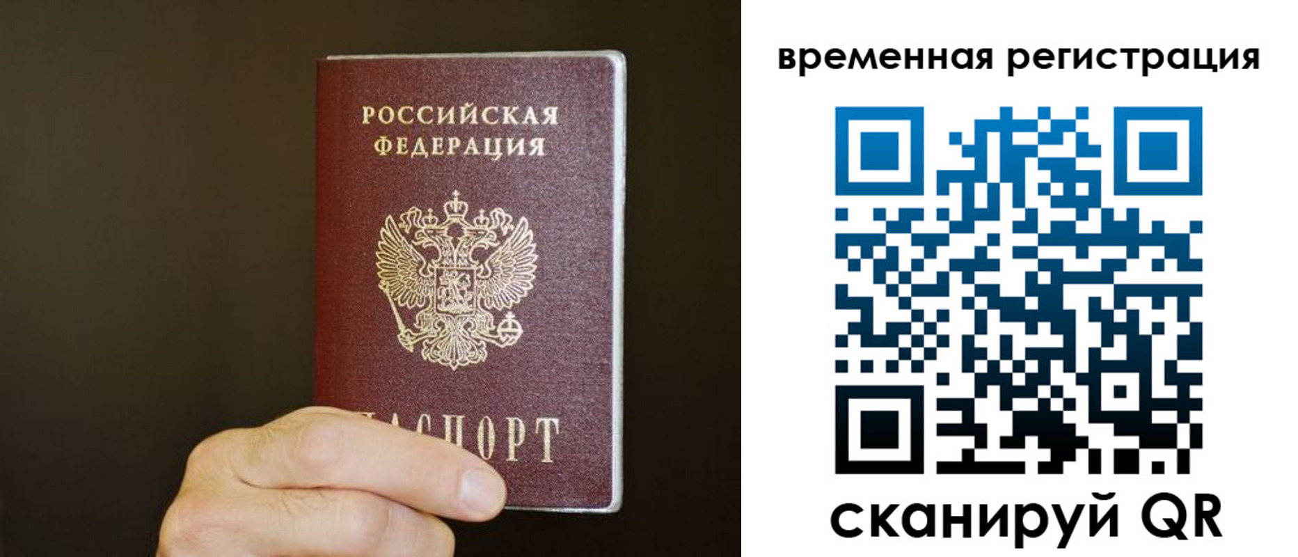 прописка гарантия в Ногинске